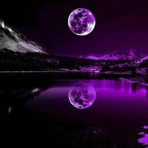 Meet your Posher, Lorraine